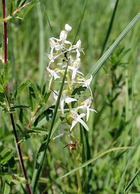 Pique-nique au pied du Granier Pique-nique au pied du Granier