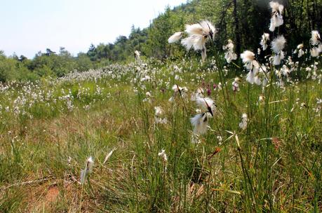 Pique-nique au pied du Granier Pique-nique au pied du Granier