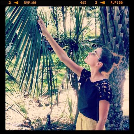 Look °° Noon by Noon IMG_5596