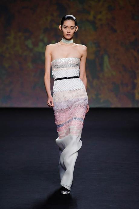 Haute Couture Automne Hiver 2013 : Dior