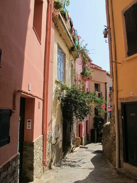 Destination soleil : Collioure IMG_2280V2