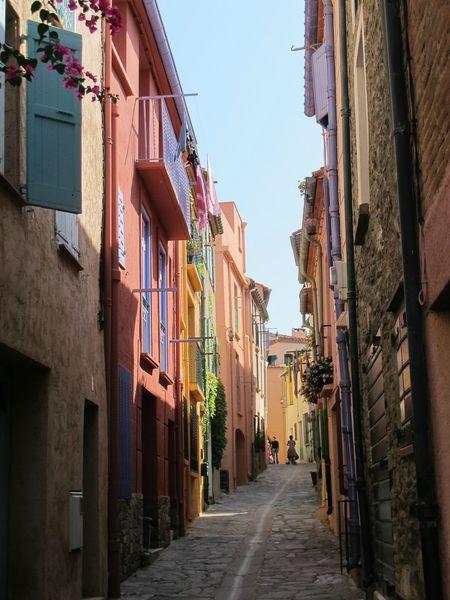 Destination soleil : Collioure IMG_2279V2