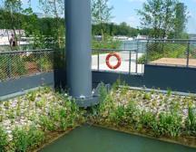 berges P1370956 Un jardin sur la Seine