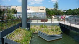 berges P1370953 Un jardin sur la Seine