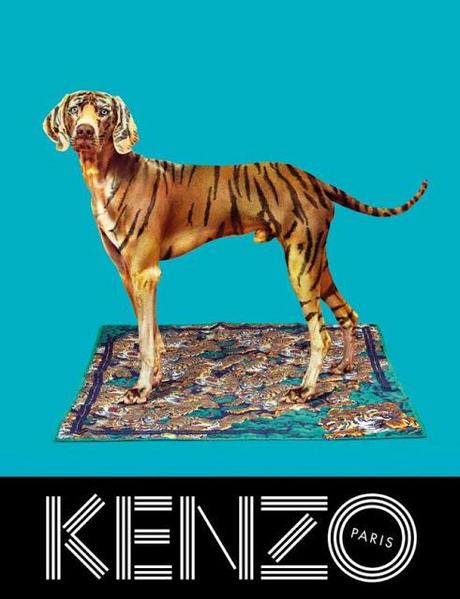 Kenzo : la nouvelle campagne