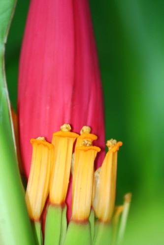 Au jardin jardin-orage-2150.JPG