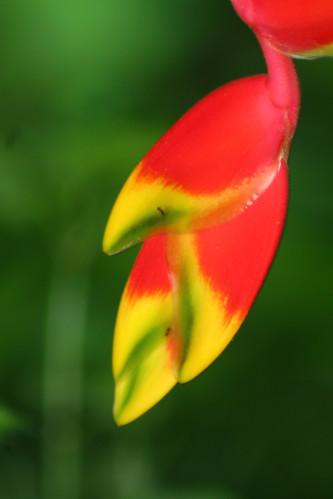 Au jardin jardin-orage-2012.JPG