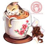 Mais qu’est-ce qui m’arrive ? chat1