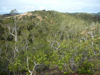 12 | MDE | 10ème chronique