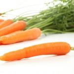 macérat de carotte pour la peau