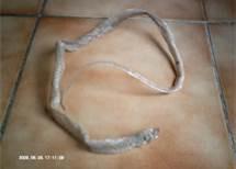 On cherche et on trouve... tags,blogs,statistiques,écriture,internet,société