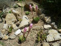 On cherche et on trouve... tags,blogs,statistiques,écriture,internet,société