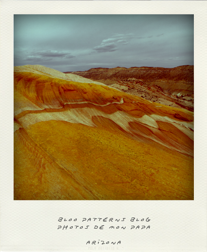 ARIZONA 2nd step, US TOUR – Polaroid USA 2013_Jour 11__0598@Pola(20130709220542)