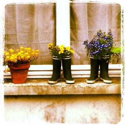 FEU DE COULEURS !!! Iphone 009