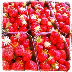 FEU DE COULEURS !!! Iphone-020.JPG