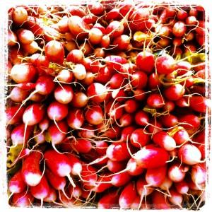 FEU DE COULEURS !!! Iphone-022.JPG