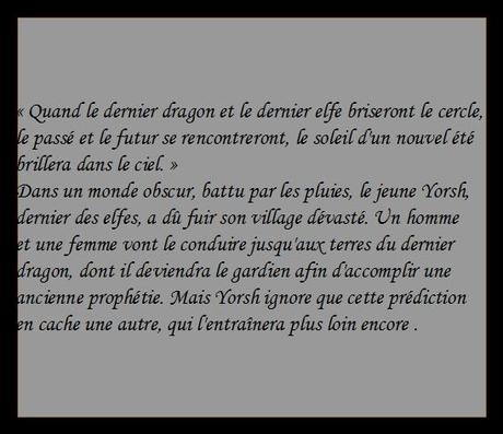 Le dernier elfe de Silvana de Mari Le dernier elfe de Silvana de Mari