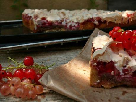 Tarte noix et groseilles meringuée P1120837