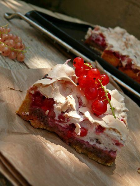 Tarte noix et groseilles meringuée P1120832