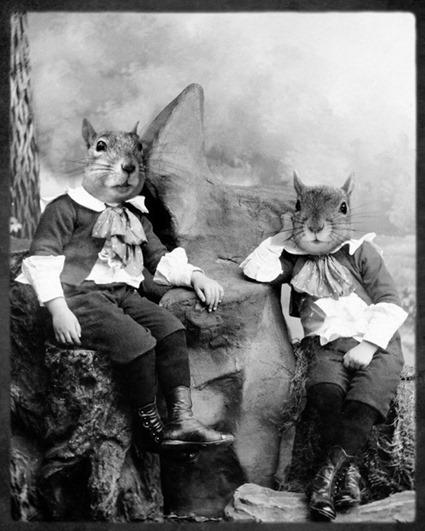 The Squirrelton Twins, Grand Ole Bestiary