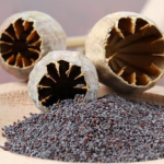 L’île aux épices pavot-graine