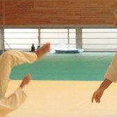 Shumeikan et Tamura sensei à la télévision japonaise | Budo Shugyosha 武道修行者 Shumeikan et Tamura sensei à la télévision japonaise | Budo Shugyosha 武道修行者