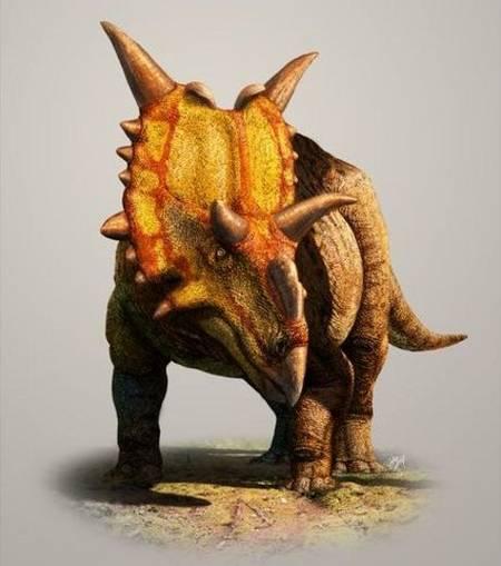 L'artiste Julius Csotonyi nous livre sa vision de Xenoceratops foremostensis, un dinosaure herbivore découvert au Canada qui ressemble fortement à son cousin le tricératops. Il faisait six mètres de long et aurait pesé jusqu'à deux tonnes.