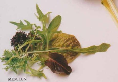 A propos du mesclun mesclun-w