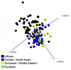 TUBERCULOSE: Des réponses immunitaires différentes selon les ethnies – PLoS Pathogens TUBERCULOSE: Des réponses immunitaires différentes selon les ethnies – PLoS Pathogens