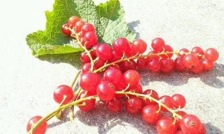 Un régal estival image