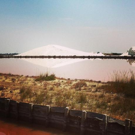 La route des plages #epicfail marais2