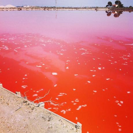 La route des plages #epicfail marais3