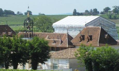 Saint-Emilion, encore et toujours stem06