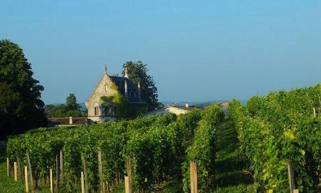 Saint-Emilion, encore et toujours stem01