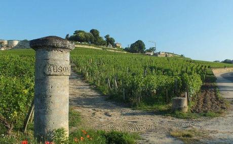 Saint-Emilion, encore et toujours stem02