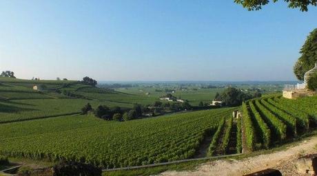 Saint-Emilion, encore et toujours stem03