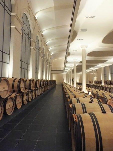 Saint-Emilion, encore et toujours stem16