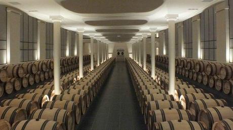 Saint-Emilion, encore et toujours stem15