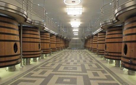 Saint-Emilion, encore et toujours stem14