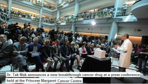 CANCERS de la Femme: Le rôle des mutations de BRCA1 enfin décrypté – Journal of Experimental Medicine