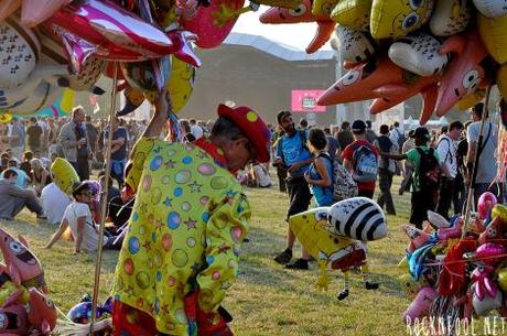 Les Vieilles Charrues en photos / jour 1 DSC_0023