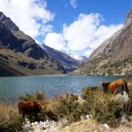Région de Huaraz: trek de Santa Cruz