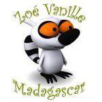 ABRICOTS A LA CREME DE MÛRES ABRICOTS A LA CREME DE MÛRES