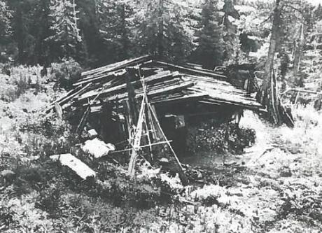 Lykovs dans la Taïga Lykovs dans la Taïga