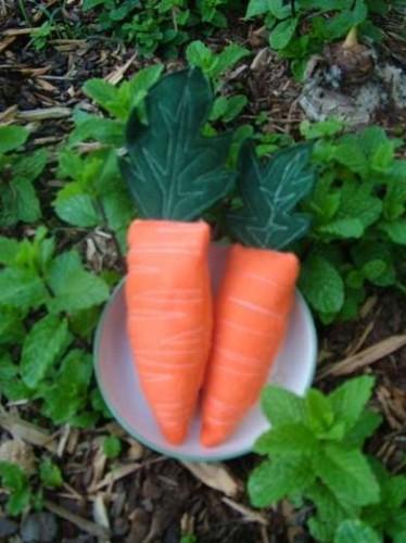 carottes.jpeg