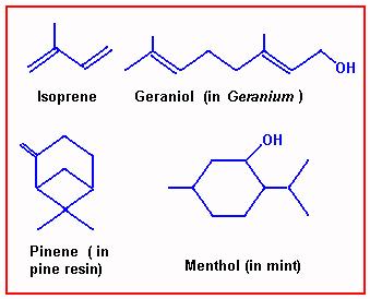 De l'utilisation des résines et des ambres * Terpene