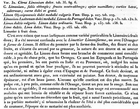 Nouv Duhamel citron doux 1819 Nouv Duhamel citron doux 1819