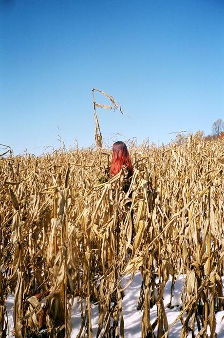 #ArtMTL @ViceCanada Photo Shows 2013 à la @YLgallery maiaredhairfield