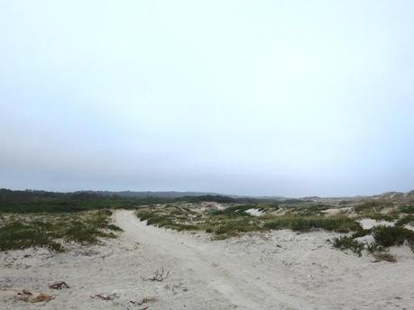 Greetings from … Portugal :: Let’s get lost! road trip portugal