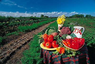 Le développement exponentiel du Bio en Chine Le développement exponentiel du Bio en Chine